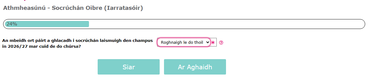 Reassessment Irish - Work Placement